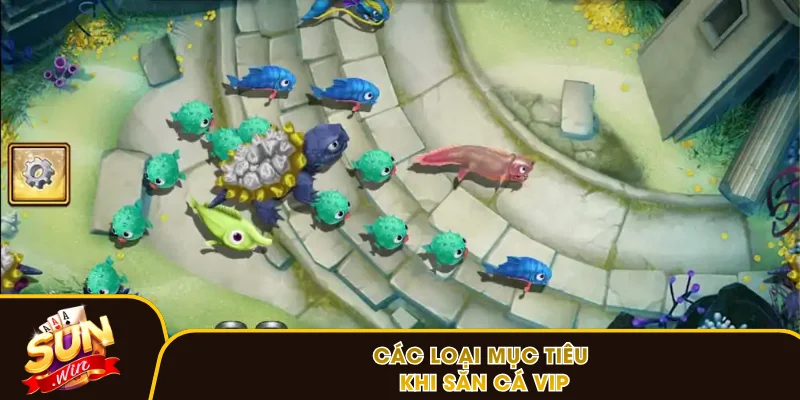 Các loại mục tiêu khi săn cá VIP