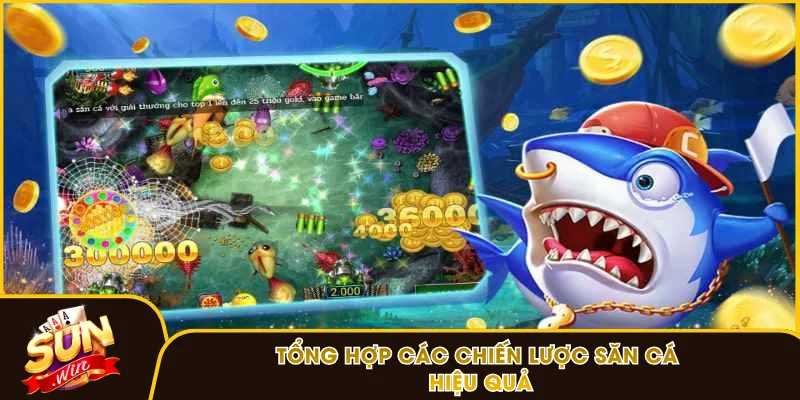 Tổng hợp các chiến lược săn cá hiệu quả